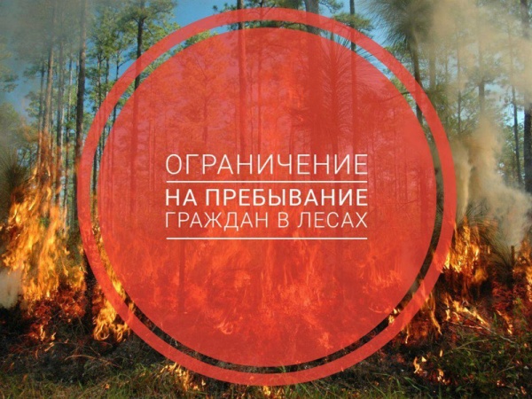 Внимание!!! Ограничено пребывание граждан в лесах