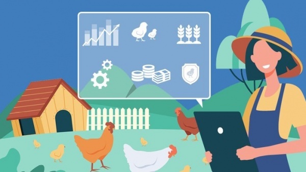 О мерах государственной поддержки гражданам ведущих личное подсобное хозяйство