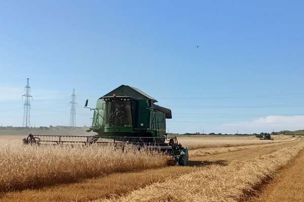 Ход уборочных работ на территории Ленинского района