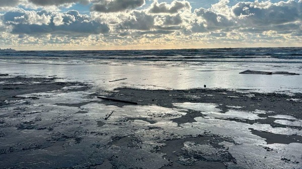 Какой ущерб экологии причинил разлив мазута в Черном море