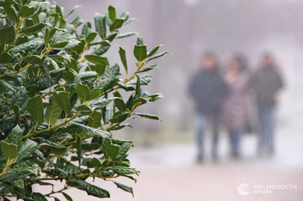 В Крыму ожидается снег, дождь и гололед