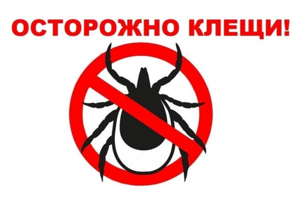 Берегитесь клещей: правила безопасности в сезон активности паразитов