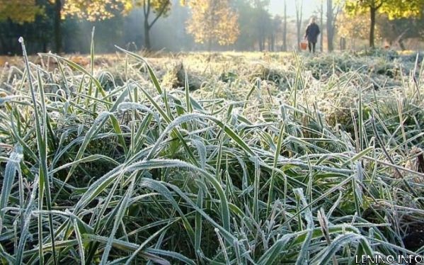На полуостров идут заморозки