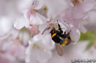 Погода не перестаёт удивлять