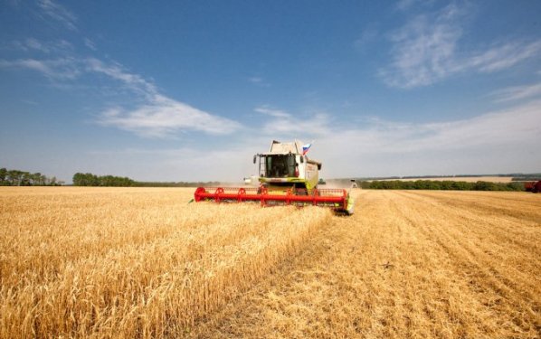 Аграрии Ленинского района приступили к уборке урожая