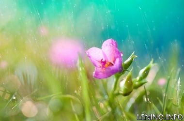 В Украину идёт похолодание