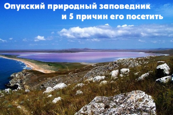 Опукский природный заповедник и 5 причин его посетить