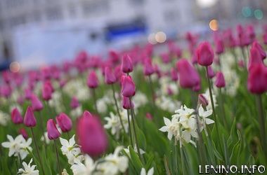 Завтра будет сухо и жарко