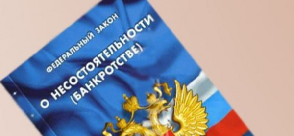 О внесении изменений в Федеральный закон «О несостоятельности (банкротстве)»