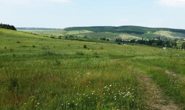 Земельным участкам в Крыму автоматически будут присвоены кадастровые номера