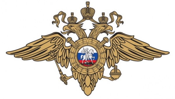 Полиция напоминает: заведомо ложный донос уголовно наказуем