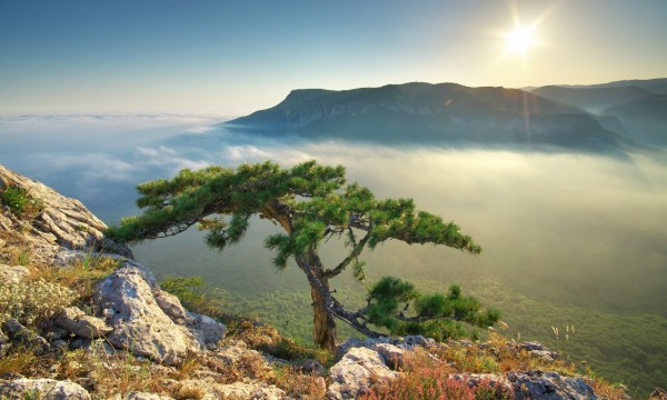 Минкурортов Крыма подготовило рекламный ролик о полуострове (ВИДЕО)