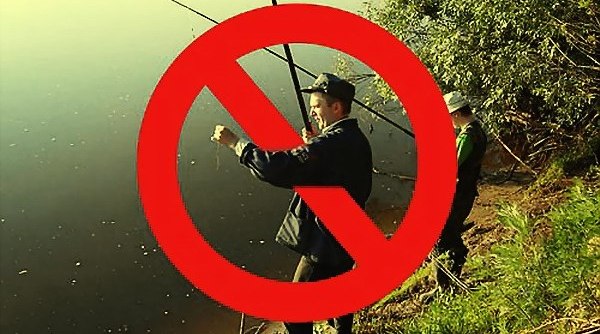 С 1 апреля запрещен любой промысел пресноводных видов рыб