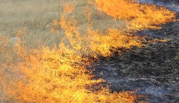 В Ленинском районе горела степь
