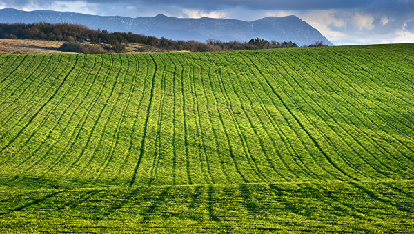 Крым нарастил поставки продуктов в другие регионы России
