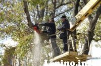 В Симферополе вынесли приговор "зеленым легким"