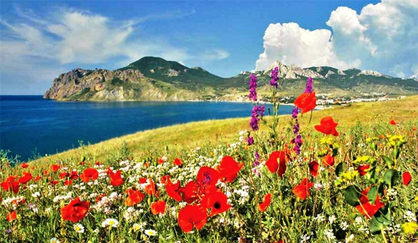 Крым признали самым безопасным для туристов регионом РФ