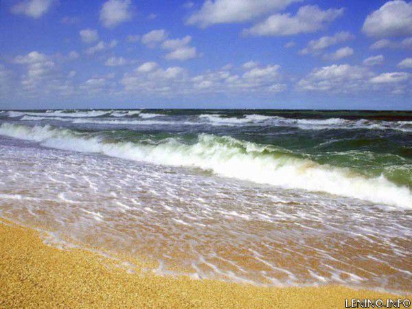 Экологи считают, что Азовское море будет мертвым
