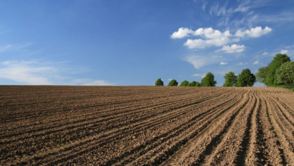 Как получить землю в Крыму по упрощенной процедуре?