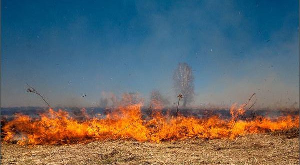 Крымские пожарные 7 раз в течение суток привлекались к ликвидации возгораний