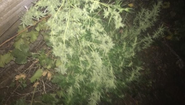 В Ленинском районе полицейские выявили факт незаконного хранения наркотиков местным жителем