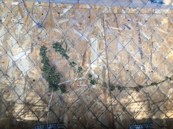 В Ленинском районе мужчина хранил наркотики в качестве «лекарства от мигрени»