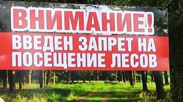Внимание! Повторно введён режим ограничения пребывания граждан в лесах!