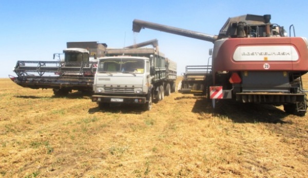 В Ленинском районе проходит уборка ранних зерновых и зернобобовых культур