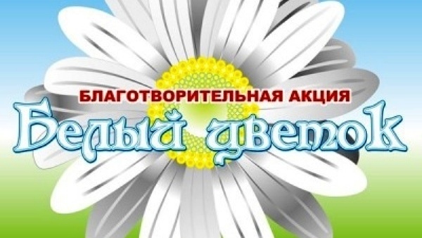Ленинский район примет участие в благотворительной акции «Белый цветок»