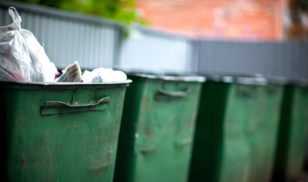 Почему за борьбу с мусором могут оштрафовать