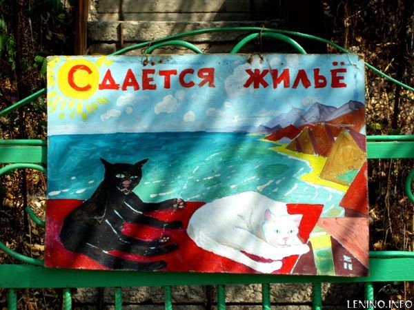 Кто сдает жилье в Крыму, обязали пройти категоризацию и платить налоги