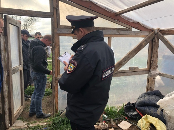 В Ленинском районе сотрудники полиции изъяли 72 куста конопли в теплице местного жителя