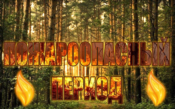 Участковое лесничество информирует!