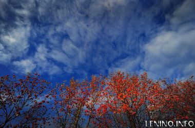 В Украину идут дожди