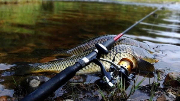 14 июля - День рыбака