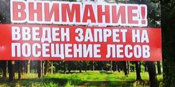 Внимание! Введён режим ограничения пребывания граждан в лесах!