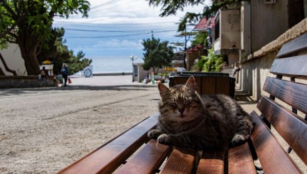 Как изменится жизнь в Крыму с 15 июня