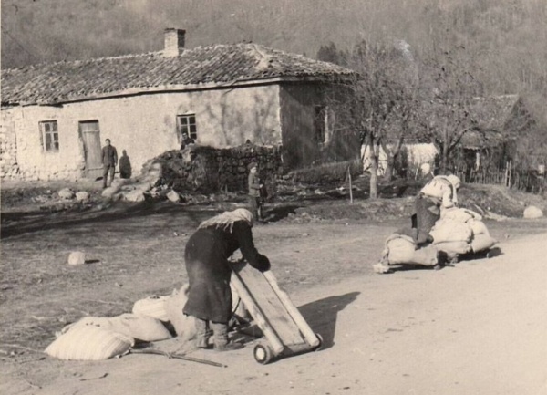 Как Крым жил при немцах: рассекреченные архивы