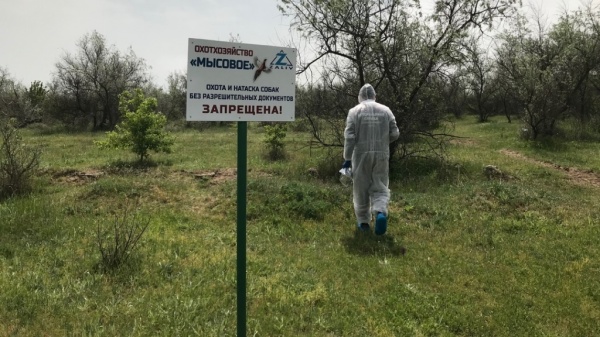 Специалисты отдела ветеринарии г. Керчь и Ленинского района приняли участие в проверке охотничьих хозяйств Ленинского района