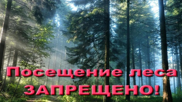 «Внимание!!! Ограничено пребывание граждан в лесах»