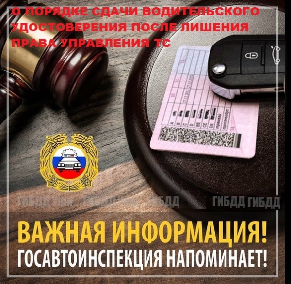ГОСАВТОИНСПЕКЦИЯ НАПОМИНАЕТ ВОДИТЕЛЯМ О ПОРЯДКЕ СДАЧИ ДОКУМЕНТОВ ПОСЛЕ ЛИШЕНИЯ СПЕЦИАЛЬНОГО СООТВЕТСТВУЮЩЕГО ПРАВА