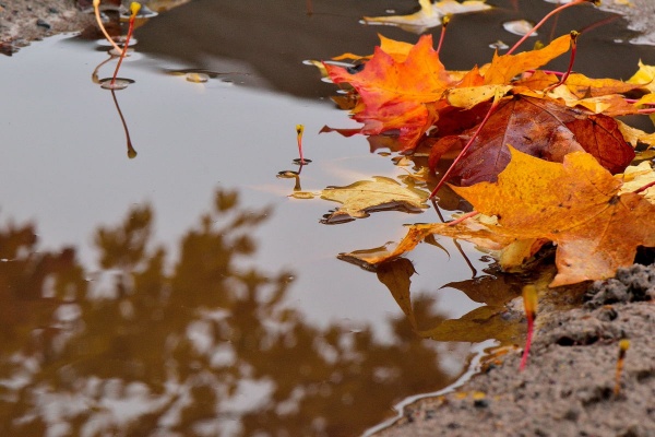 В Крыму назвали дату окончания летней погоды