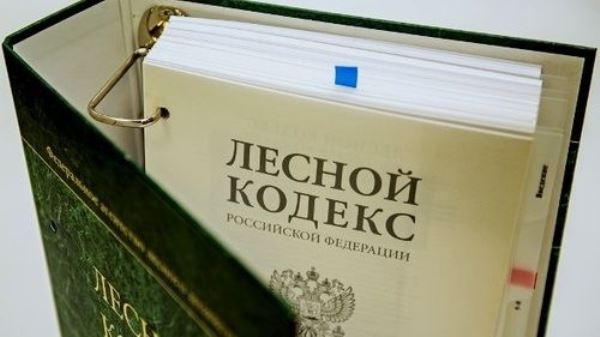О соблюдении лесного законодательства