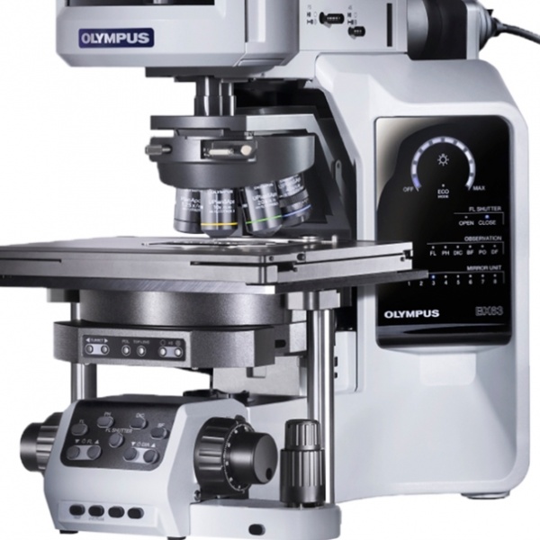 Olympus BX63 – один из лучших моторизованных микроскопов в мире