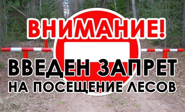 «Внимание!!! Ограничено пребывание граждан в лесах»