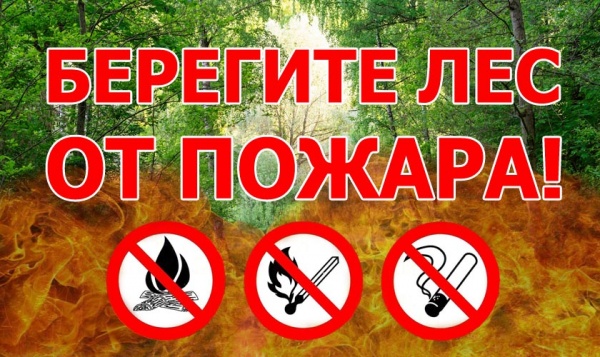 «Внимание!!! Ограничено пребывание граждан в лесах»