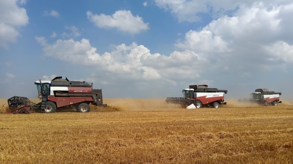 Уборке -2023 дан старт