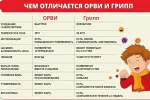 Как отличить грипп о других респираторных инфекций