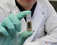 Ученые изобрели батареи на сахаре