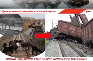 Уважаемые владельцы сельскохозяйственных животных Ленинского района!